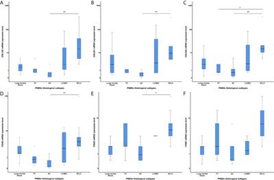 The Fibrosis-Targeted Collagen/Integrins Gene Profile Predicts Risk of Metastasis in Pulmonary Neuroendocrine Neoplasms